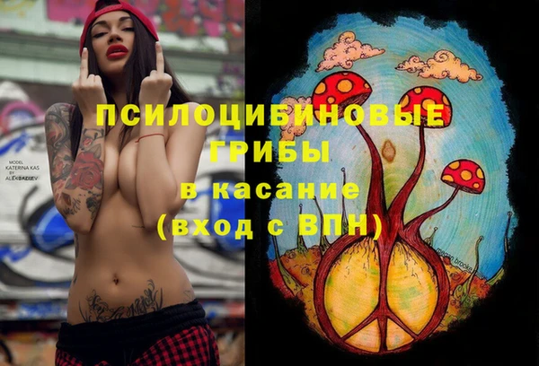прущая мука Аркадак