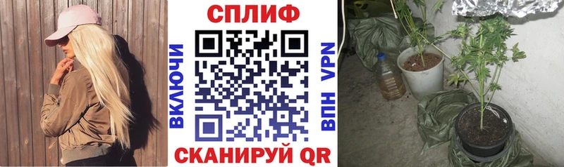 Шишки марихуана THC 21%  Туринск 